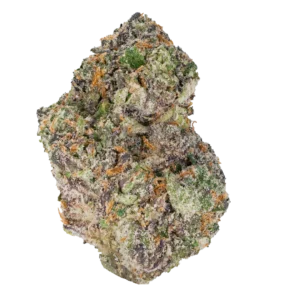 Gelato 45